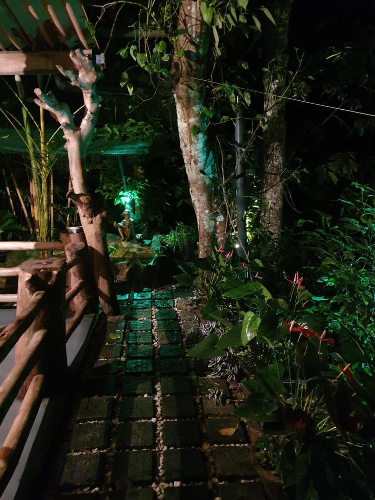 Treetops Ella Exterior photo